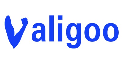 valigoo LOGO.jpg